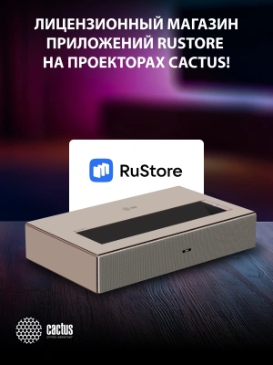 Проектор Cactus CS-U2.WT DLP 19000Lm LS 800Lm ANSI (1920x1080) 15000:1 ресурс лампы:50000часов 2xUSB typeA 2xHDMI 1.78кг