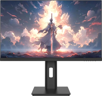 Монитор NPC 23.8" MF2439 черный IPS LED 3ms 16:9 HDMI M/M матовая HAS Piv 300cd 178гр/178гр 1920x1080 120Hz G-Sync FreeSync VGA DP FHD 4.2кг