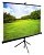 Экран Cactus 98" 150x200см TriExpert CS-PSTE-200x150-BK 4:3 напольный рулонный черный