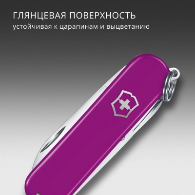 Нож перочинный Victorinox Classic SD Tasty Grape (0.6223.52G) 58мм 7функц. подар.коробка
