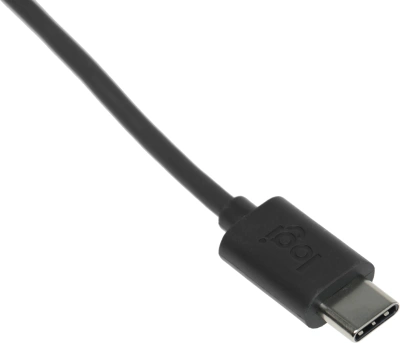 Камера Web Logitech HD Webcam Brio 300 черный 2Mpix (1920x1080) USB Type-C с микрофоном (960-001438)