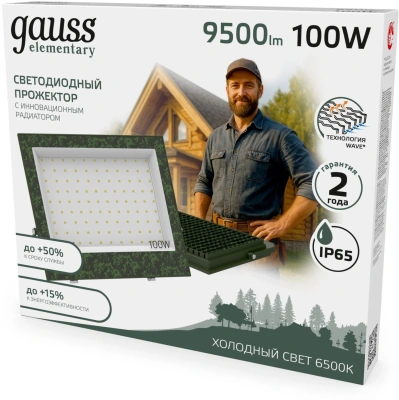 Прожектор уличный Gauss Elementary GFD006 светодиодный 100Втзеленый