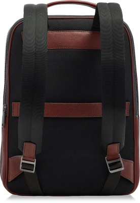 Рюкзак мужской The Bridge Ludovico 063126LZ/1A коричневый натур.кожа