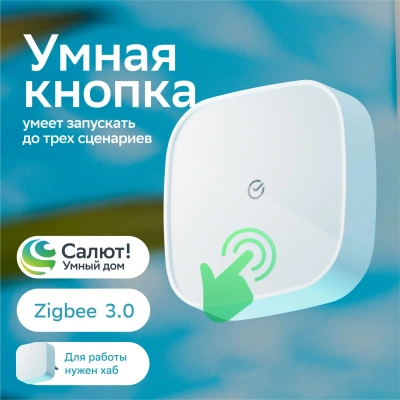 Умная кнопка Sber SBDV-00032 р.д.22м белый