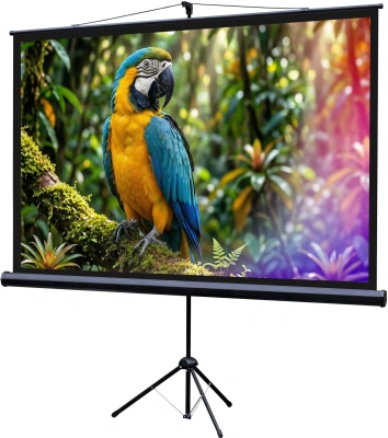 Экран Lumien 84" 192x110см Eco Picture LEV-100113 16:9 напольный натяжной черный