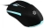 Мышь Оклик 245M черный оптическая 1000dpi USB 3but (471479)