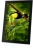 Фоторамка Digma 11" PF-1155 1280x800 черный пластик 16Gb Видео WiFi Фоторамка Digma 11" PF-1155 1280x800 черный пластик 16Gb Видео WiFi