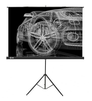 Экран Cactus 100" 124.5x221см Triscreen CS-PST-124x221 16:9 напольный рулонный черный