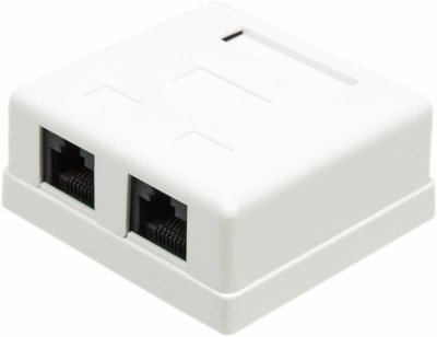 Розетка Lanmaster TWT-SM2-4545-WHRJ45 кат.5E (упак.:1шт)