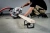 Торцовочная пила Metabo KGS 254 M set 1450Вт 5000об/мин d=254мм