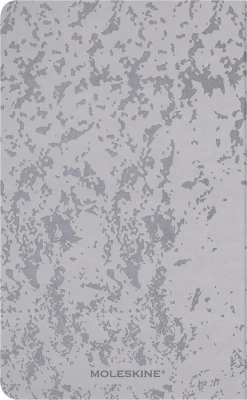 Блокнот Moleskine CAHIER NASA-INSPIRED SKCAHLP7063S2 Large 130х210мм 120стр. нелинованный мягкая обложка серебристый/черный Moon (2шт)