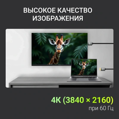 Кабель аудио-видео Digma HDMI (m)/HDMI (m) 2м. феррит.кольца позолоч.конт. черный (D-HDMI-2FF-V2.0-2M)