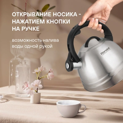 Чайник металлический Rondell Zart RDS-1828 2.7л. стальной