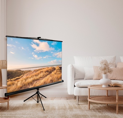 Экран Cactus 100" 180x180см Triscreen CS-PST-180x180 1:1 напольный рулонный черный