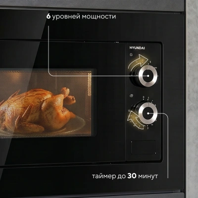 Микроволновая печь Hyundai HBW 2031 BG 20л. 700Вт черный (встраиваемая)