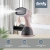 Отпариватель ручной Domfy DSC-GS310 1650Вт бежевый Отпариватель ручной Domfy DSC-GS310 1650Вт бежевый