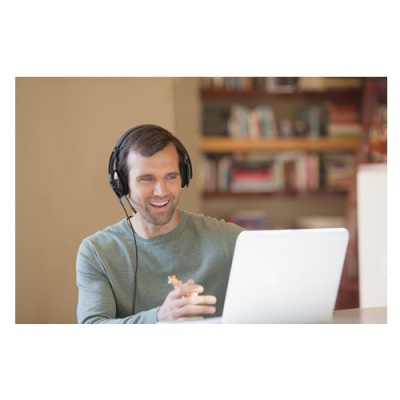 Наушники с микрофоном Logitech H540 черный 1.8м накладные USB оголовье (981-000480)