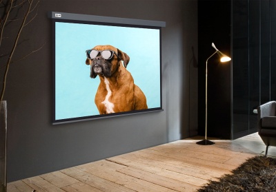 Экран Cactus 120" 149.4x265.7см Wallscreen CS-PSW-149X265-SG 16:9 настенно-потолочный рулонный серый