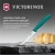 Нож кухонный Victorinox Swiss Classic (6.7704.C1) стальной универсальный для чистки овощей и фруктов лезв.100мм прямая заточка зеленый