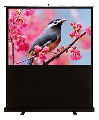 Экран Cactus 59" 90x120см FloorCompactExpert CS-PSFLCE-120X90 4:3 напольный рулонный