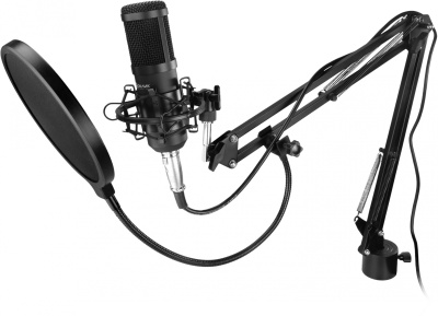 Микрофон проводной Оклик SM-600G 2.5м черный