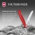 Нож кухонный Victorinox Swiss Classic 6.7831.FC1 стальной столовый для овощей лезв.110мм серрейт. заточка красный карт.коробка Нож кухонный Victorinox Swiss Classic 6.7831.FC1 стальной столовый для овощей лезв.110мм серрейт. заточка красный карт.коробка