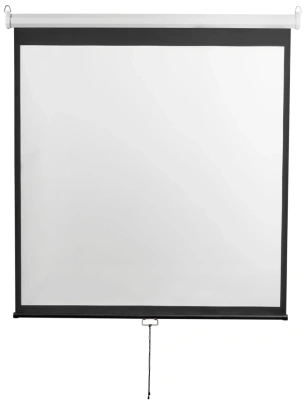 Экран Digis 248x144см Optimal-D DSOD-16905 16:9 настенный рулонный белый