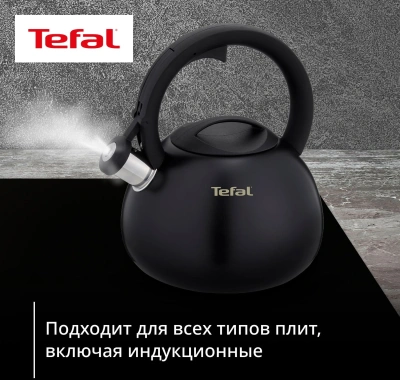 Чайник металлический Tefal Intuition N4180417 2.5л. черный (3110601825)