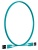 Патч-корд Panduit FZ2ELLNLNSNM002 2x50/125 OM4 LC дуплекс-LC дуплекс 2м LSZH аквамарин Патч-корд Panduit FZ2ELLNLNSNM002 2x50/125 OM4 LC дуплекс-LC дуплекс 2м LSZH аквамарин