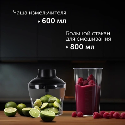 Блендер погружной Red Solution HB2901 1200Вт серебристый/черный