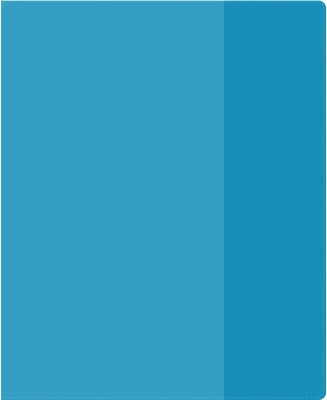 Обложка Silwerhof 2026956 Цветные для тетради (набор 10шт) ПВХ 130мкм матовая прозр. 210x350мм